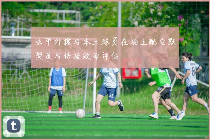 法甲外援与本土球员在场上配合默契度与传接效率评估