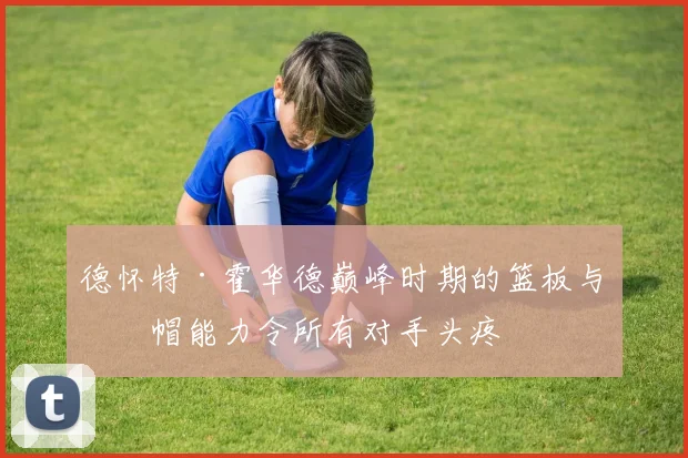 德怀特·霍华德巅峰时期的篮板与盖帽能力令所有对手头疼