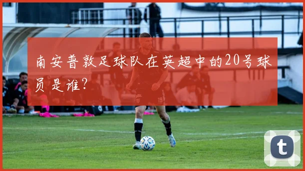南安普敦足球队在英超中的20号球员是谁？