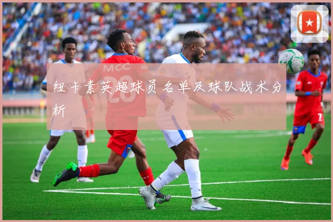 纽卡素英超球员名单及球队战术分析