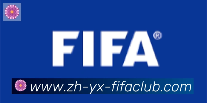 世界杯买球合作伙伴
